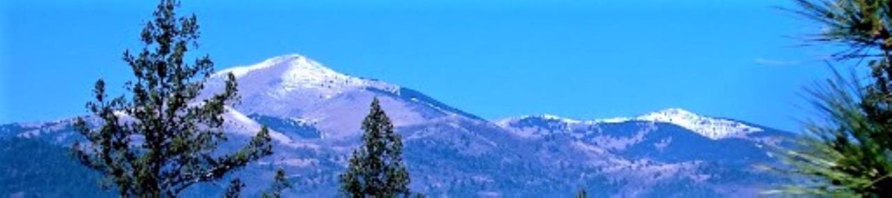 Pinecliff Village Resort Hollywood 外观 照片